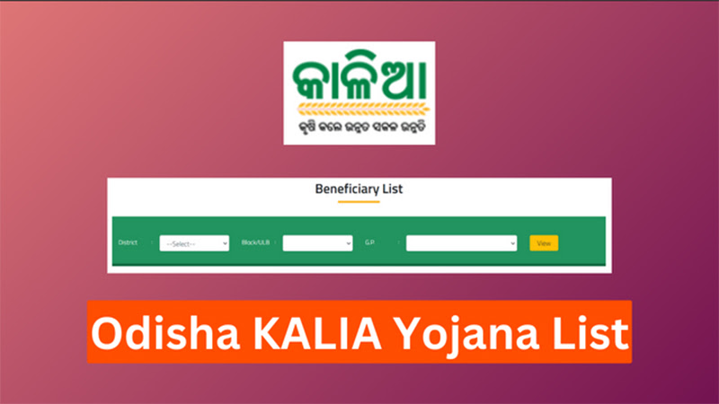 Odisha KALIA Yojana List