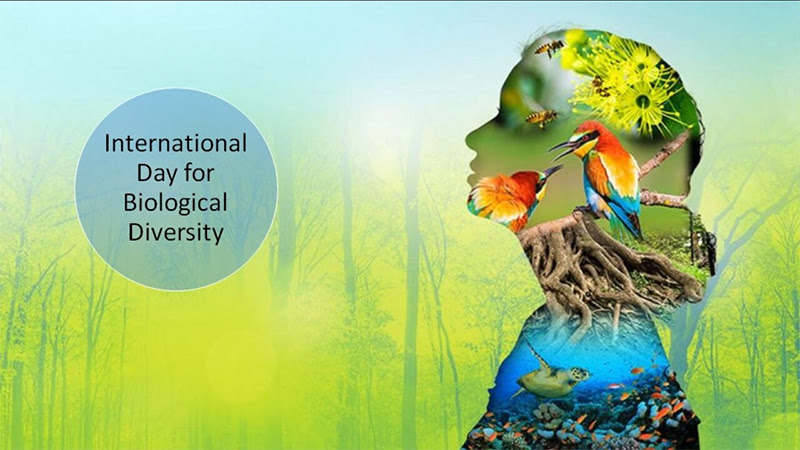 International Day for Biological Diversity