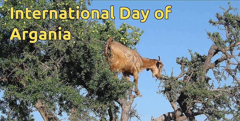 International Day of Argania