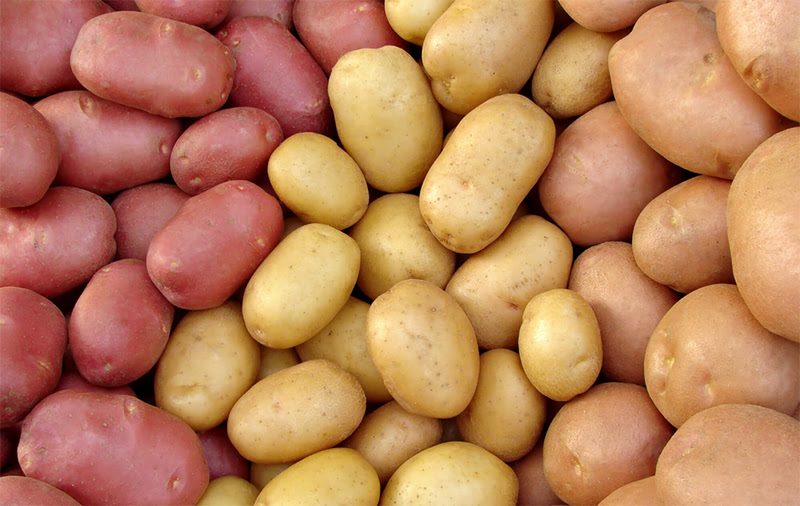 International Day of Potato