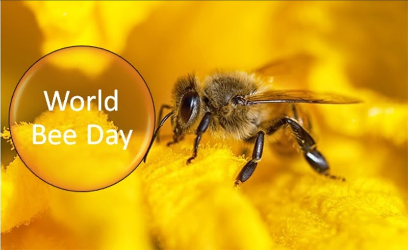 World Bee Day