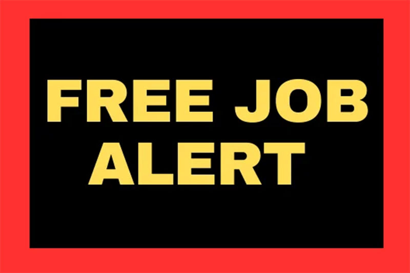 Free Job Alert 2025