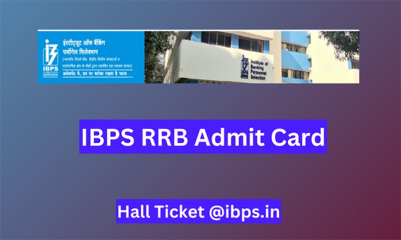 IBPS RRB Admit Card