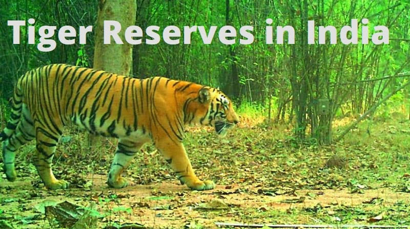 Tiger Reserves in India