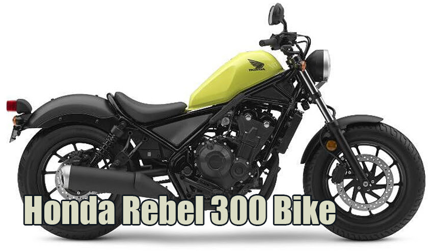 Honda Rebel 300 Bike